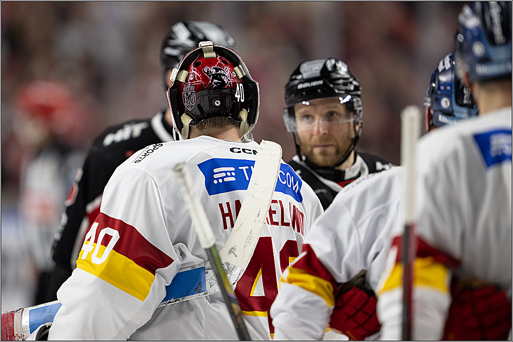 PENNY DEL 1; Kölner Haie - Düsseldorfer EG ; Köln, 16.02.2025